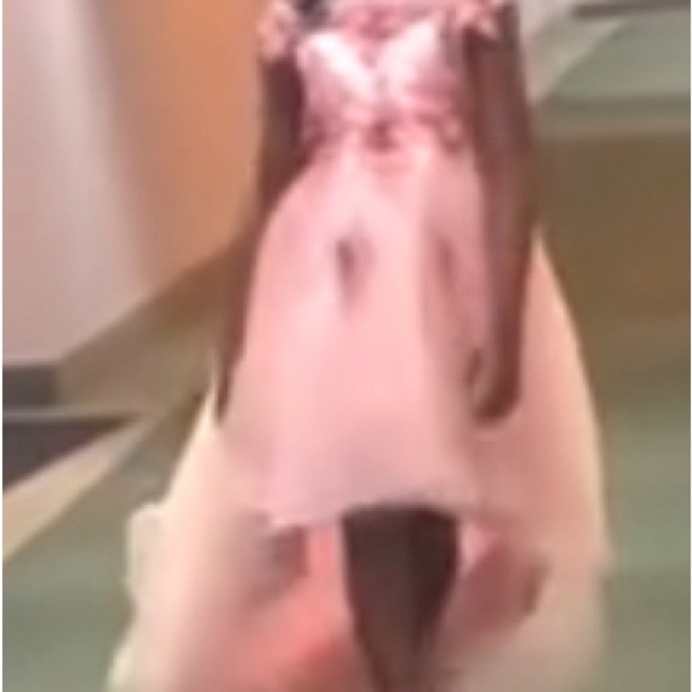 Pretty Girls Dress